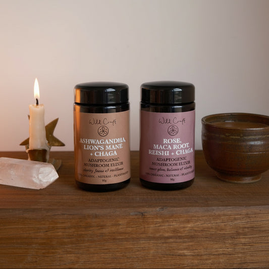 Mushroom Elixir duo (save 5%) ~ Ashwagandha, Lion's Mane & Chaga + Rose, Maca, Reishi & Chaga